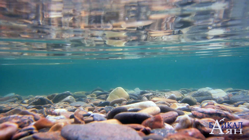 Прозрачная вода байкала фото